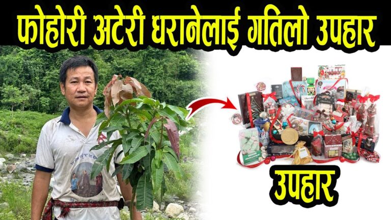 हर्क सरको मिठो उपहार फोहोरी धरानेलाई II Harka sampang II Dharan news II Gnewsnepal